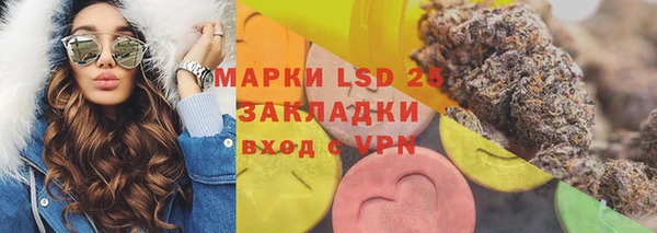 МДПВ Инсар