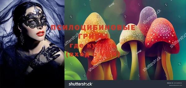 Альфа ПВП Зерноград